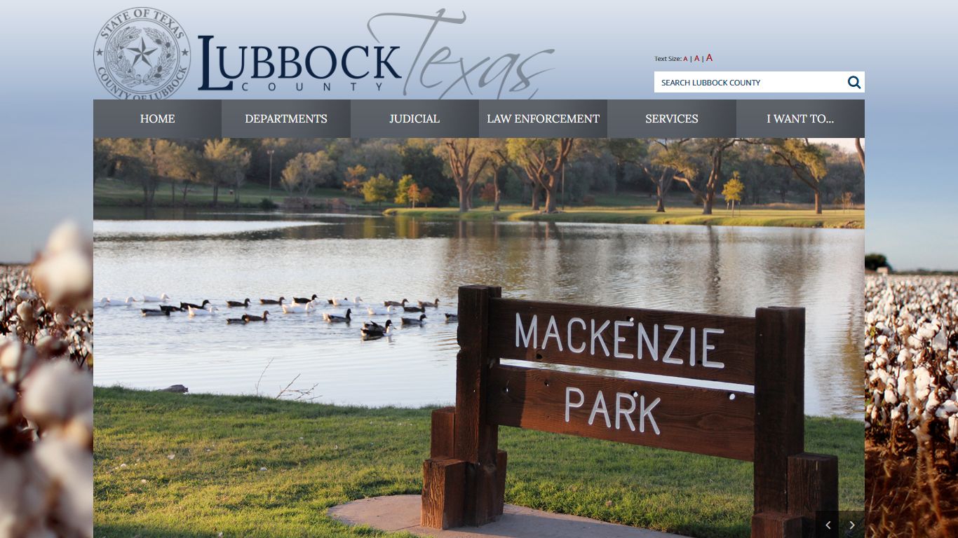 Online Access to Court Records - Lubbock County